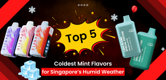 Top 5 Coldest Mint Flavors for Singapore’s Humid Weather